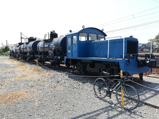 IMG_20190818_112456.jpg