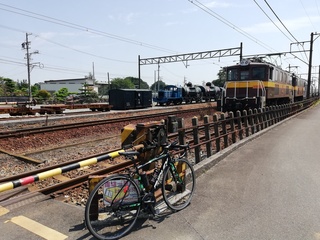 IMG_20190818_112934.jpg