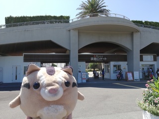 IMG_20190915_110833.jpg